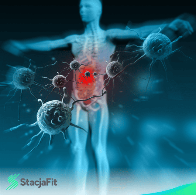 trening personalny Szczecin, fizjoterapia Szczecin, studio treningowe Szczecin, trener personalny Szczecin, rehabilitacja Szczecin, ćwiczenia indywidualne Szczecin , StacjaFit